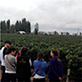 Imagen de turistas en viñedos de Mendoza en visita guiada